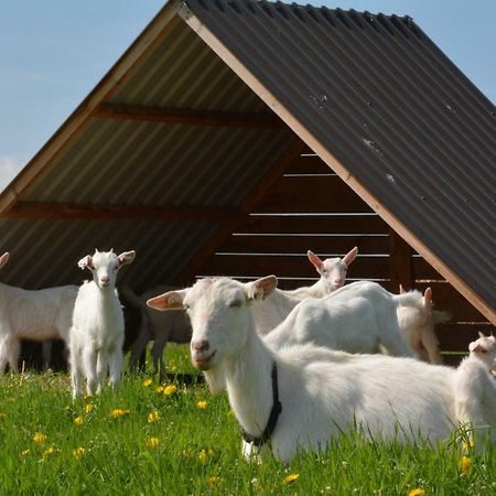 Farma Klínec Villa Exterior foto